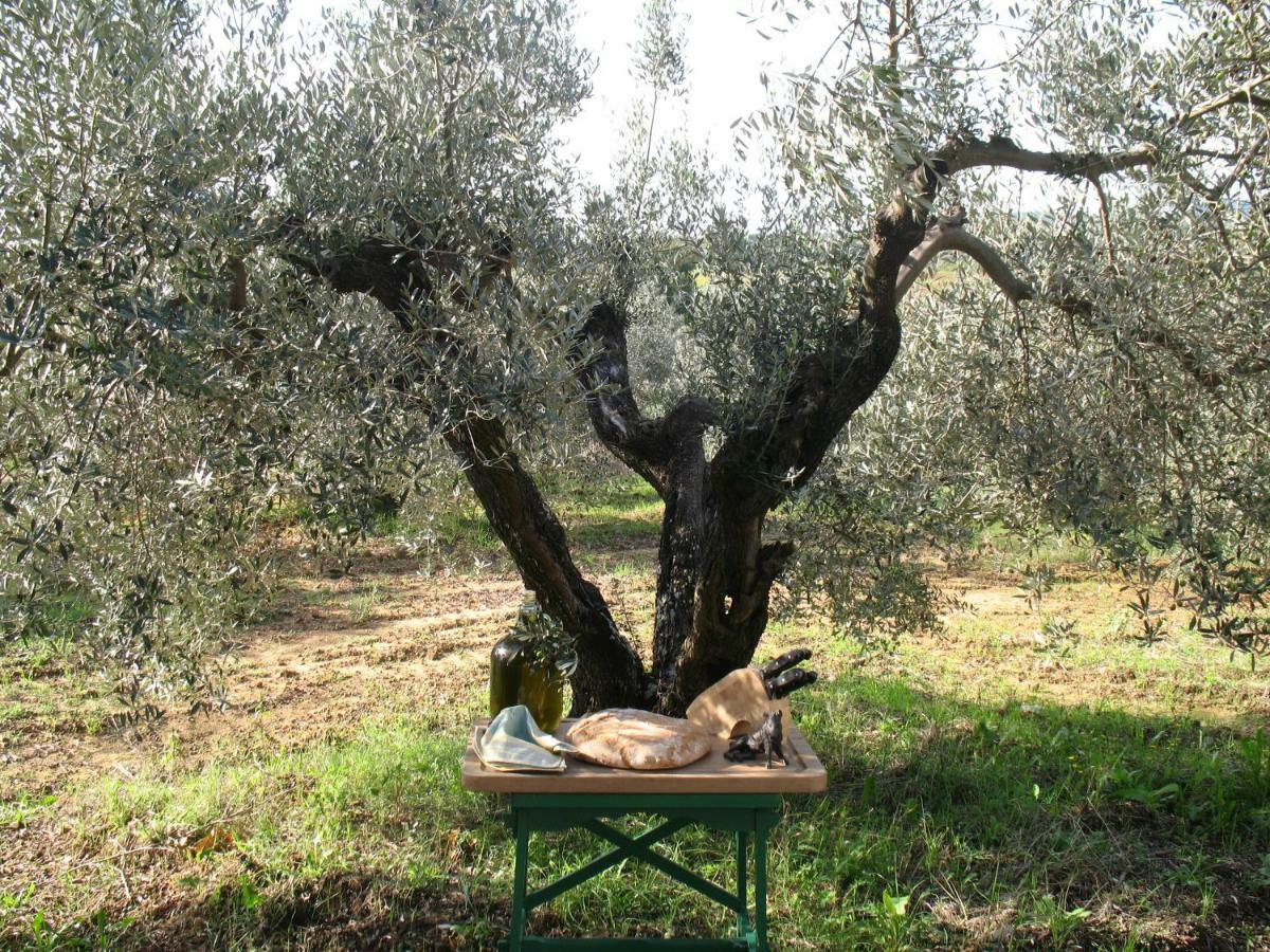 רוזיניאנו מריטימו Agriturismo Le Cerbonche מראה חיצוני תמונה